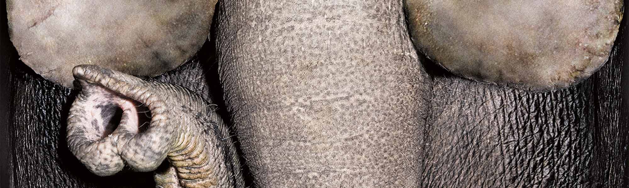 You have to leave your comfort zone.