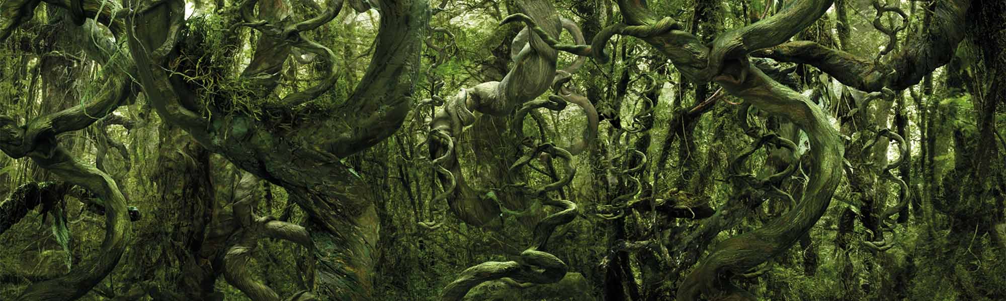 Ich suche nicht, ich finde Pablo Picasso