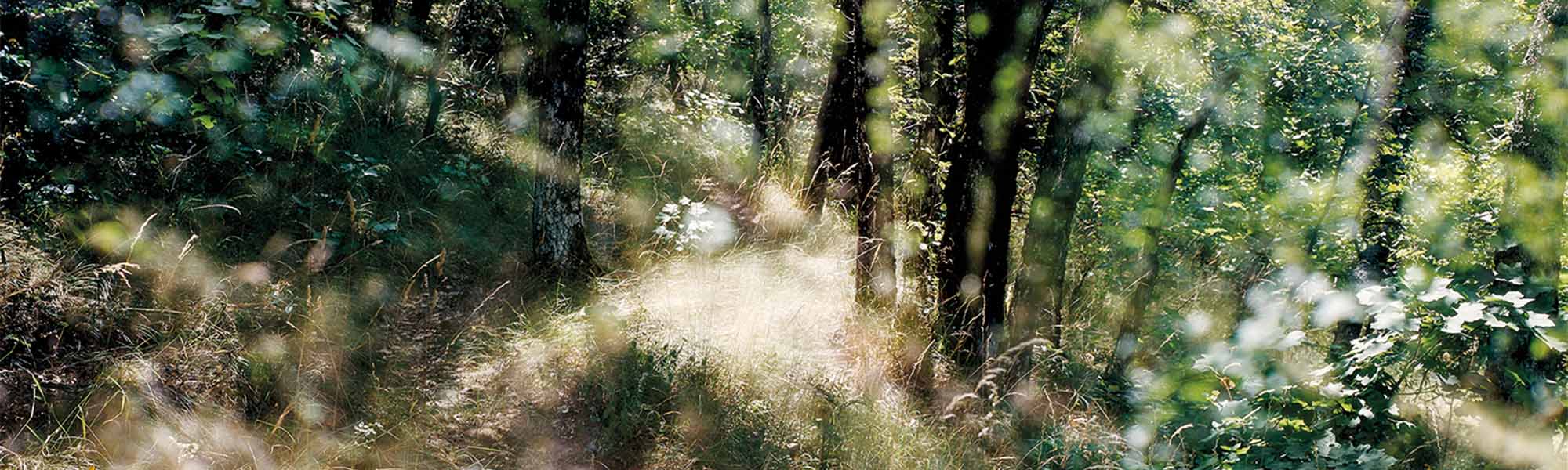 Die Impressionisten
wurden am Anfang auch nicht verstanden.